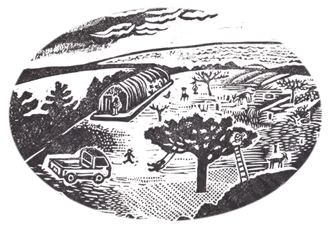 人知れずそこにある風景